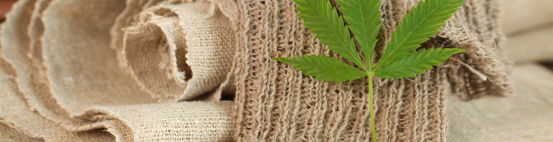 Benefits Of Gardening In Grow Bags! - Organicbazar Blog