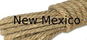 Image with New Mexico text on it