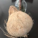 Coconut image