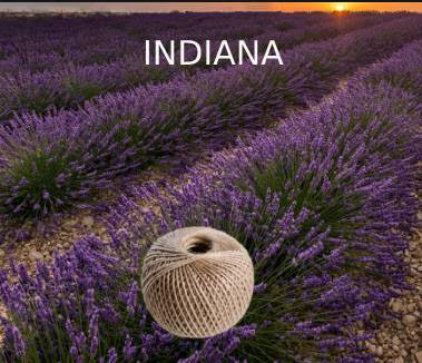 Image representing Indiana with Indiana text on it