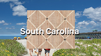 Image showing South Carolina