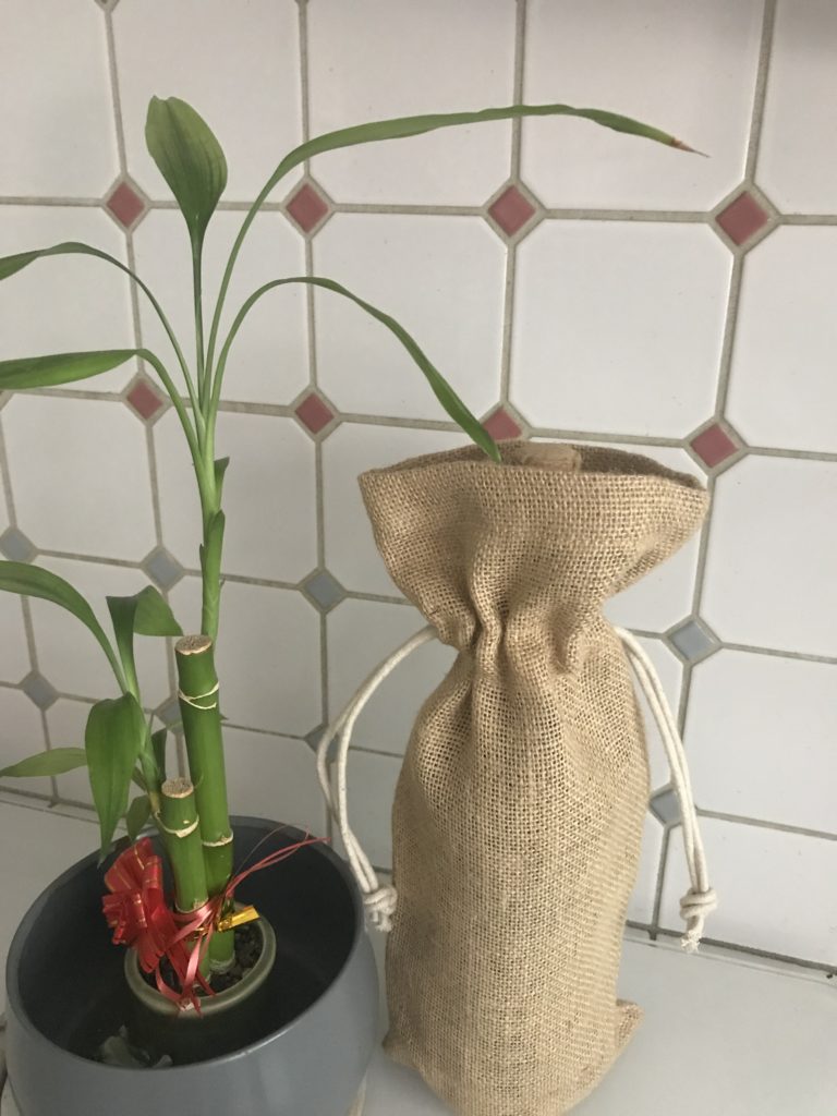 Bottle bag beside an indoor plant