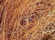 Coir fiber image