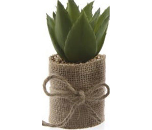 Jute flower pot image