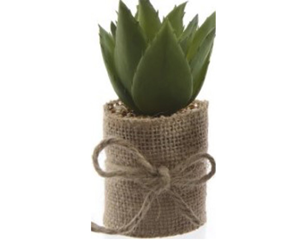 Jute flower pot image