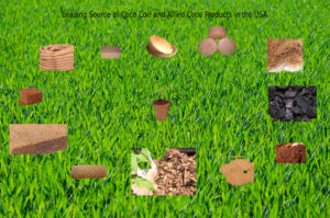 Coco coir and Allied coco products image