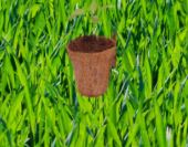 Coir pot image