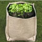 Jute Plant bag image