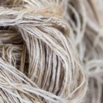 Hemp Fibers image