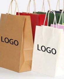 Paper carry bag with logo image