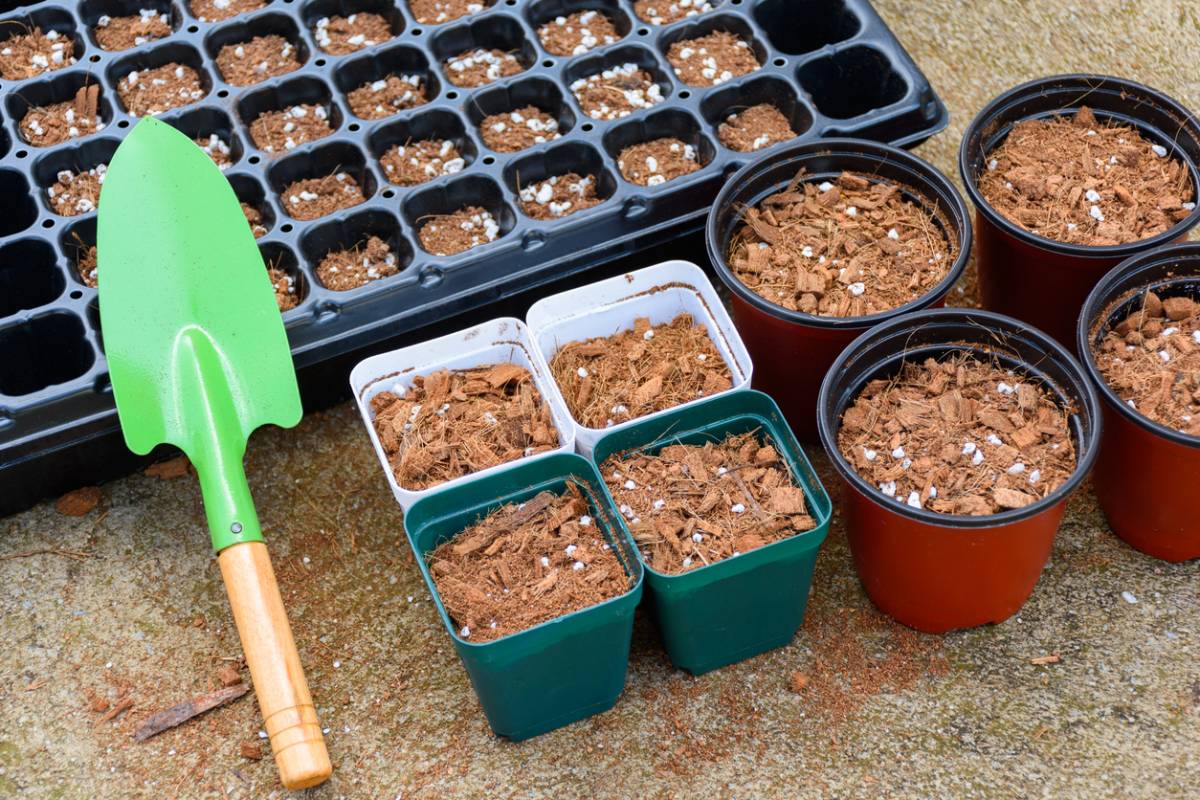 Featured image for What Is the Purpose of Cocopeat?