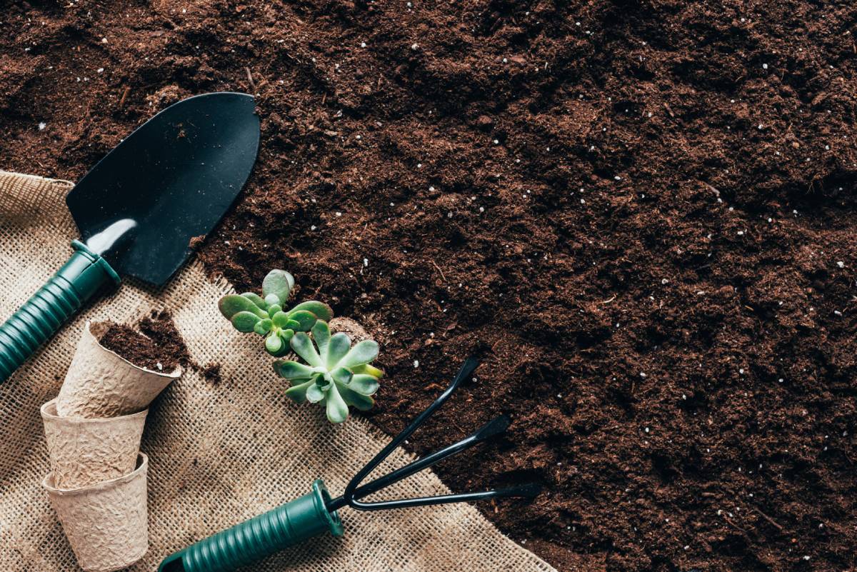 top view of gardening tools, flower pots and green plants on sackcloth on soil
