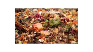Home Compost Pile
