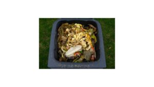 Food Scraps for Home Compost