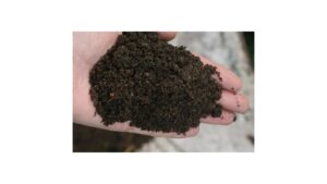 Organic Home Compost